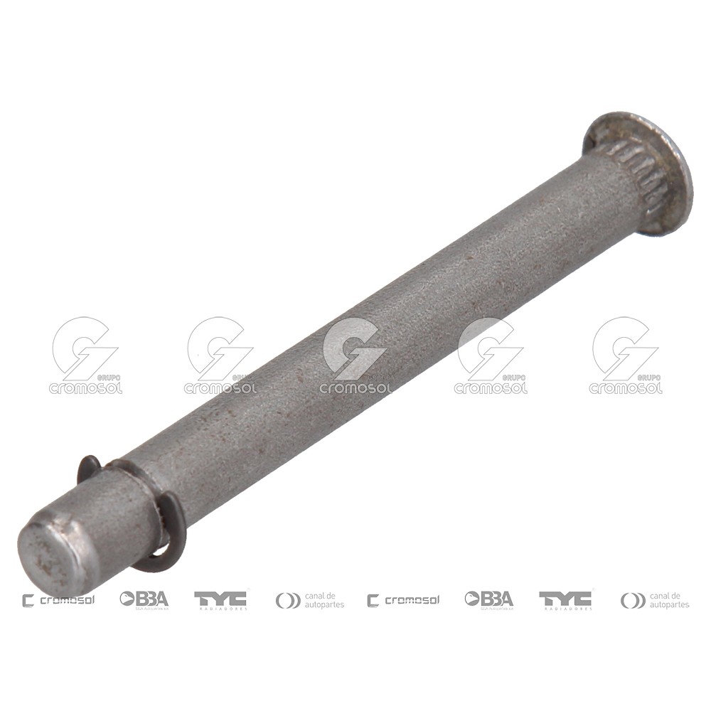 Perno de bisagra para Renault 12 F1