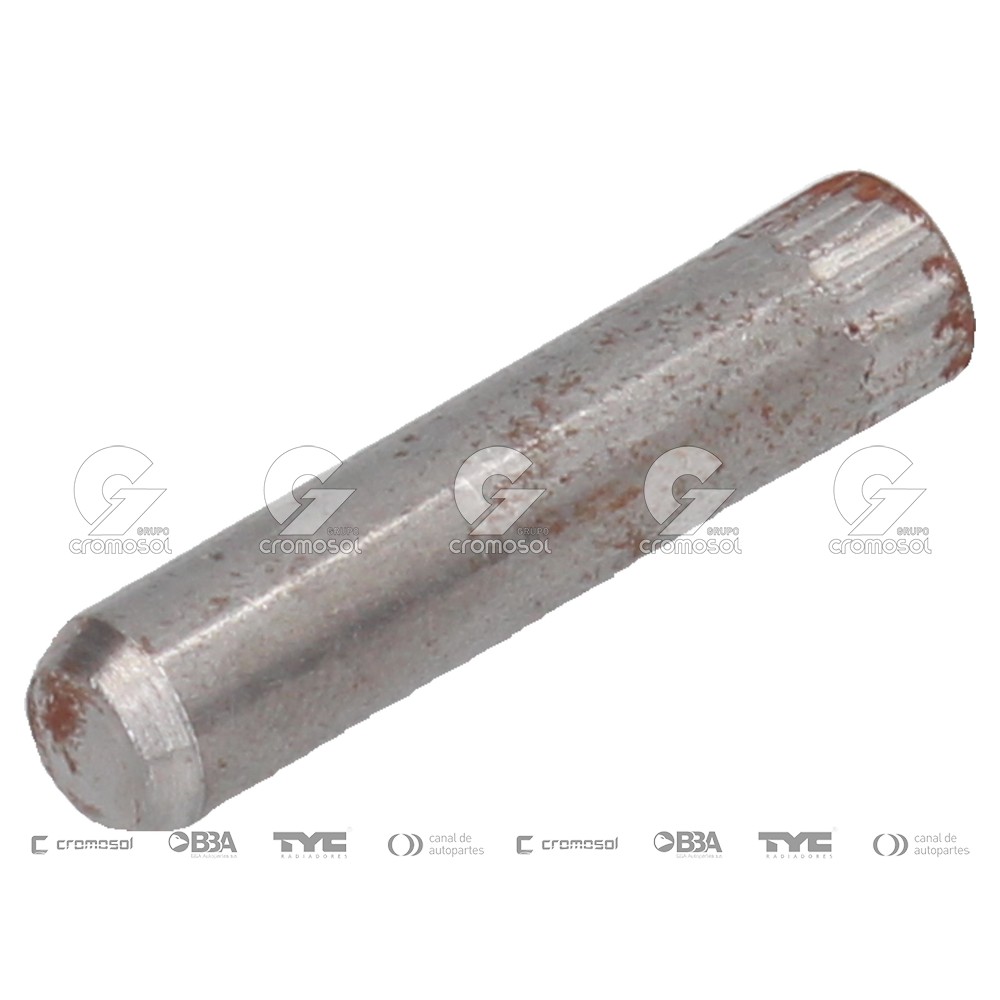 Perno de bisagra para Fiat Duna F1