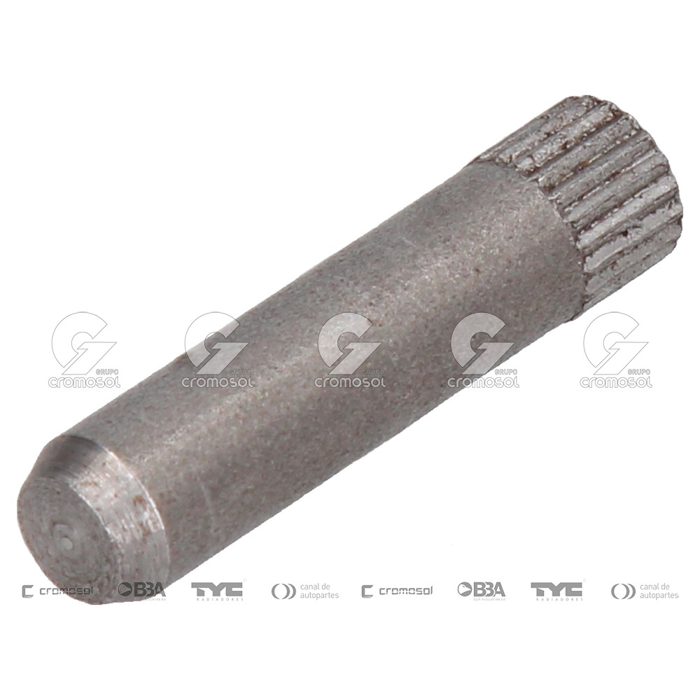 Perno de bisagra para Fiat Duna F1
