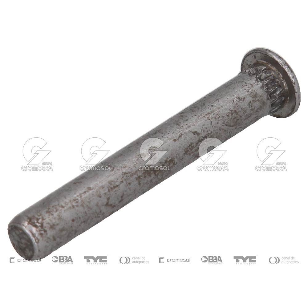 Perno de bisagra para Dodge 1500