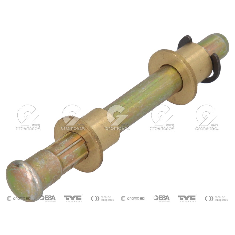 Perno de bisagra para Renault Kangoo F1