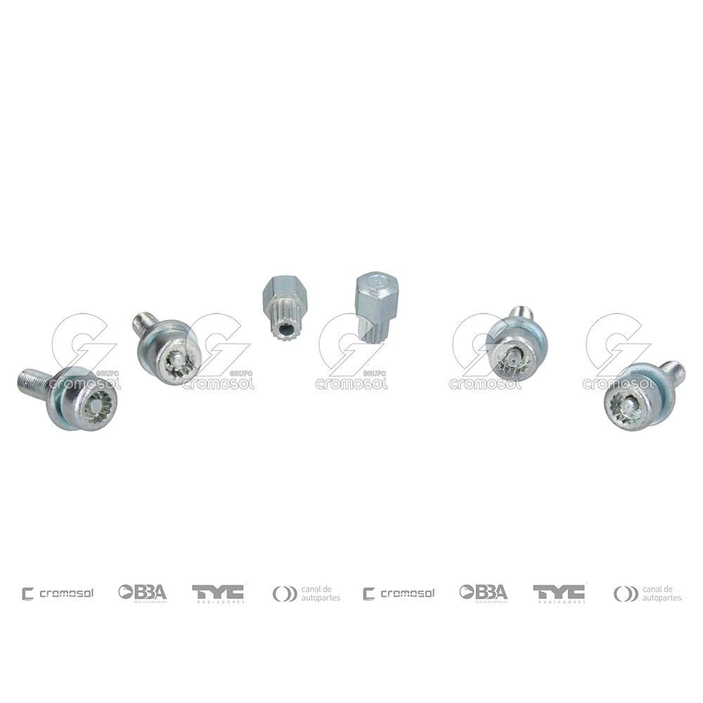 Tuerca antirrobo para Citroën Berlingo FI
