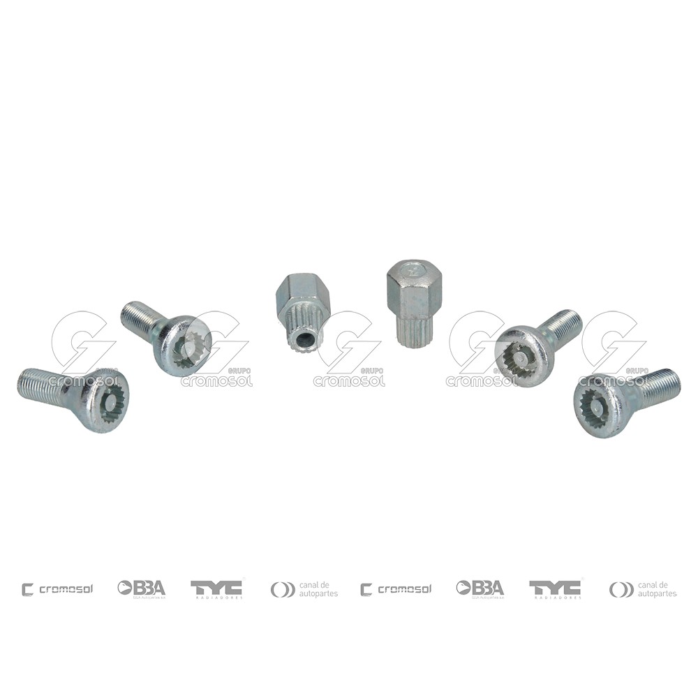 Tuerca antirrobo para Fiat Argo