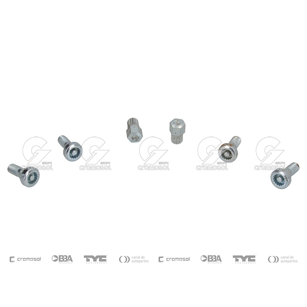 Tuerca antirrobo para Fiat 500