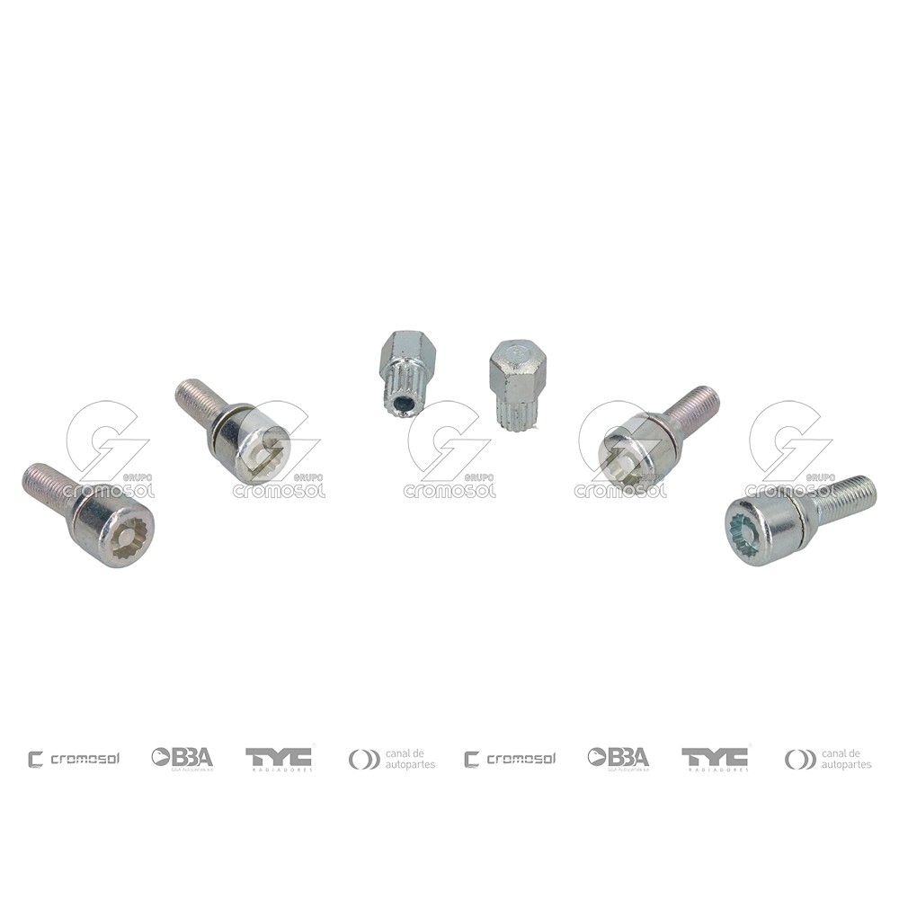 Tuerca antirrobo para Renault Duster F1-I