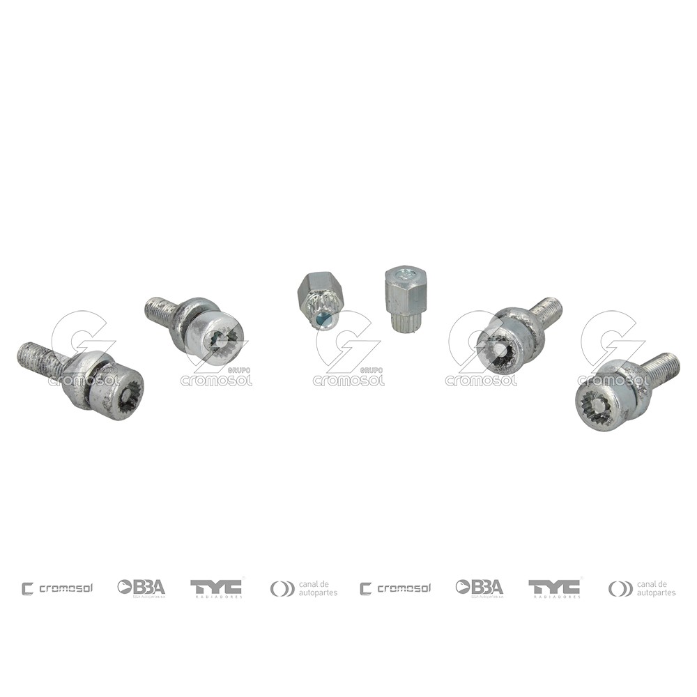 Tuerca antirrobo para Renault Clio III F2