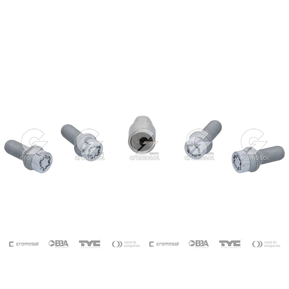 Tuerca antirrobo para Audi TT