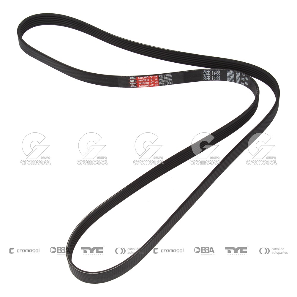 Correa de accesorios para Citroën Xantia 93-01