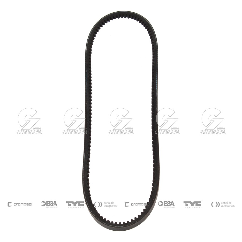 Correa de accesorios para Alfa Romeo 33
