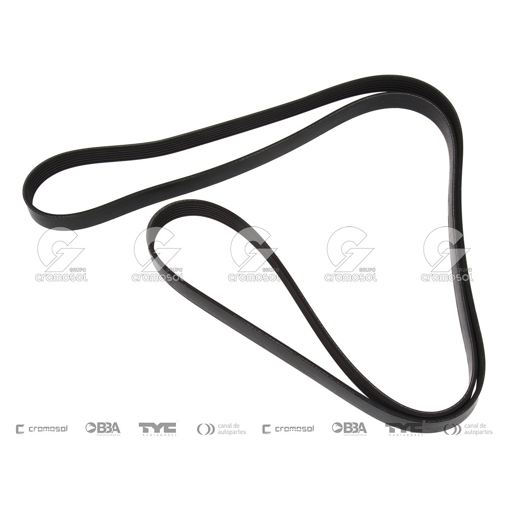 Correa de accesorios para Ford Ranger