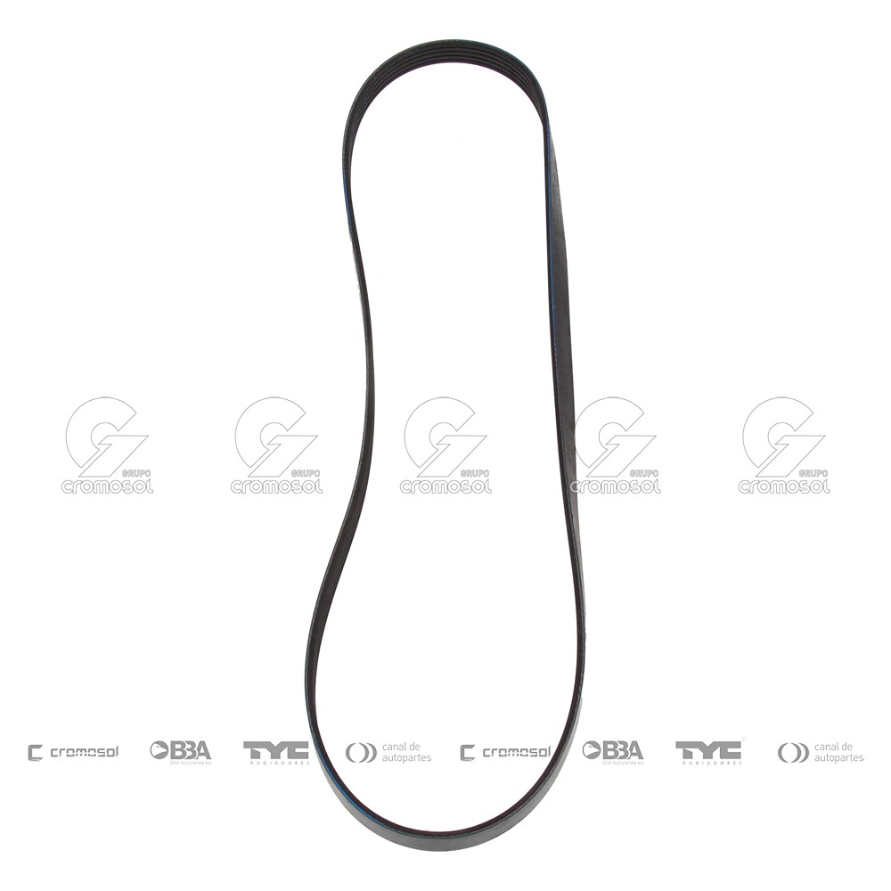 Correa de accesorios para Fiat Palio F1 01-07