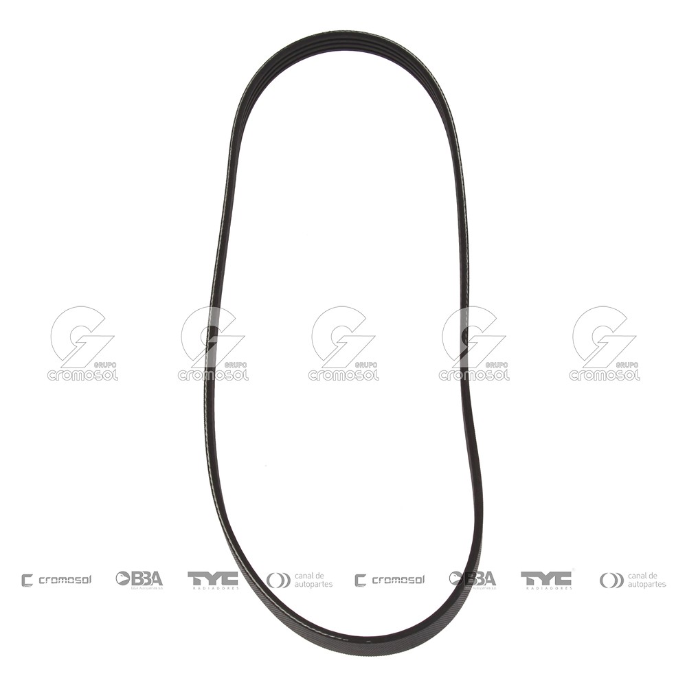 Correa de accesorios para Chevrolet Blazer F2