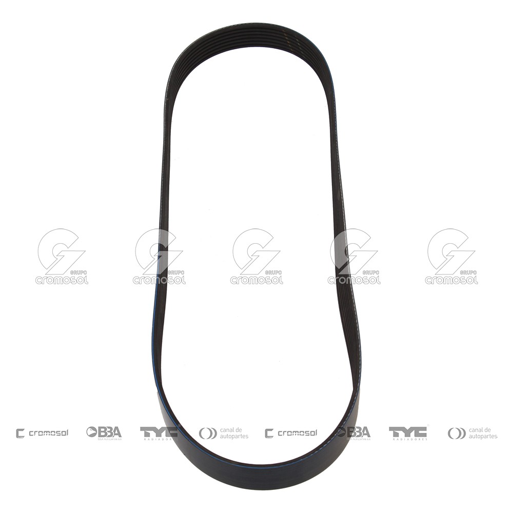 Correa de accesorios para Nissan March F1