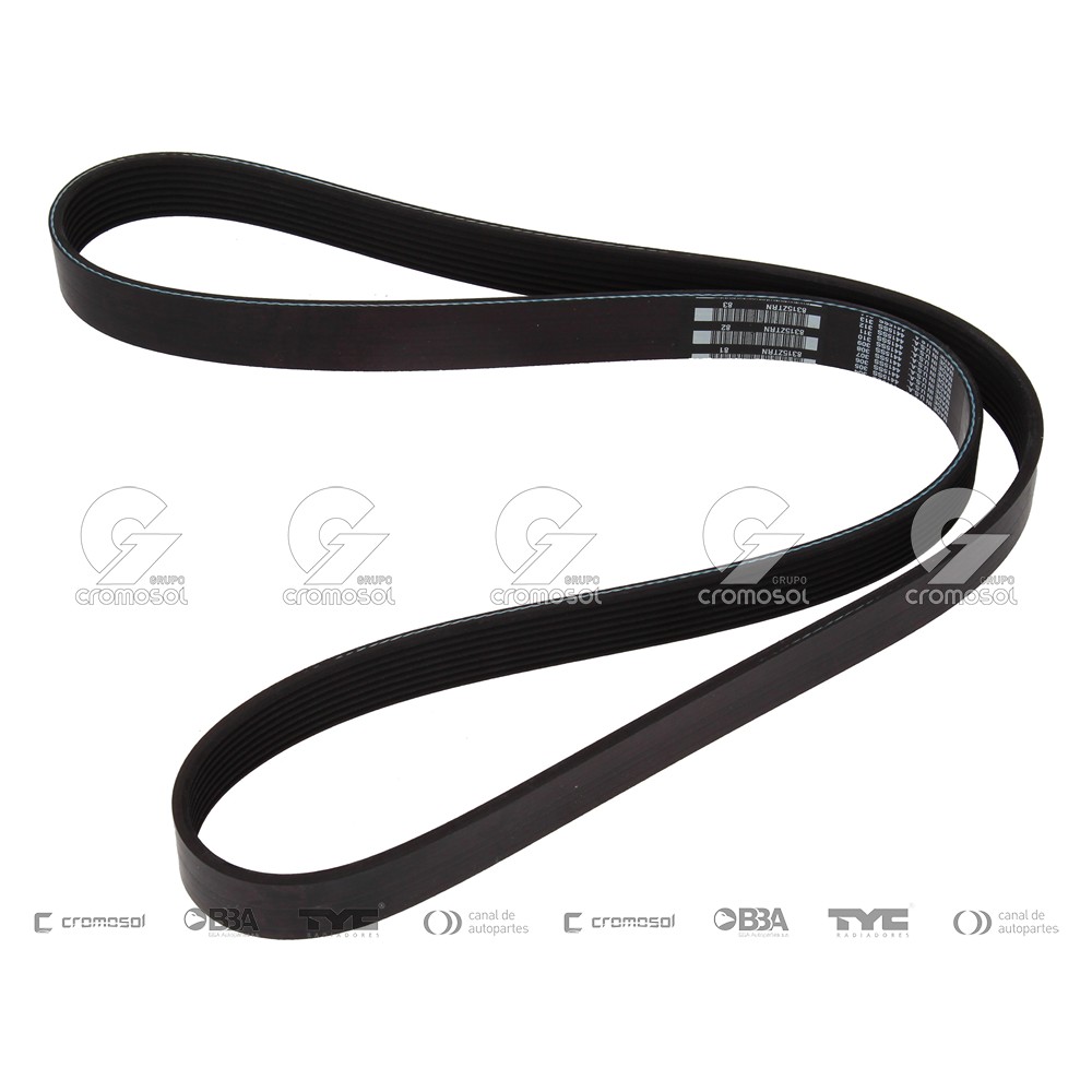 Correa de accesorios para Ford Camión Cargo 00-06