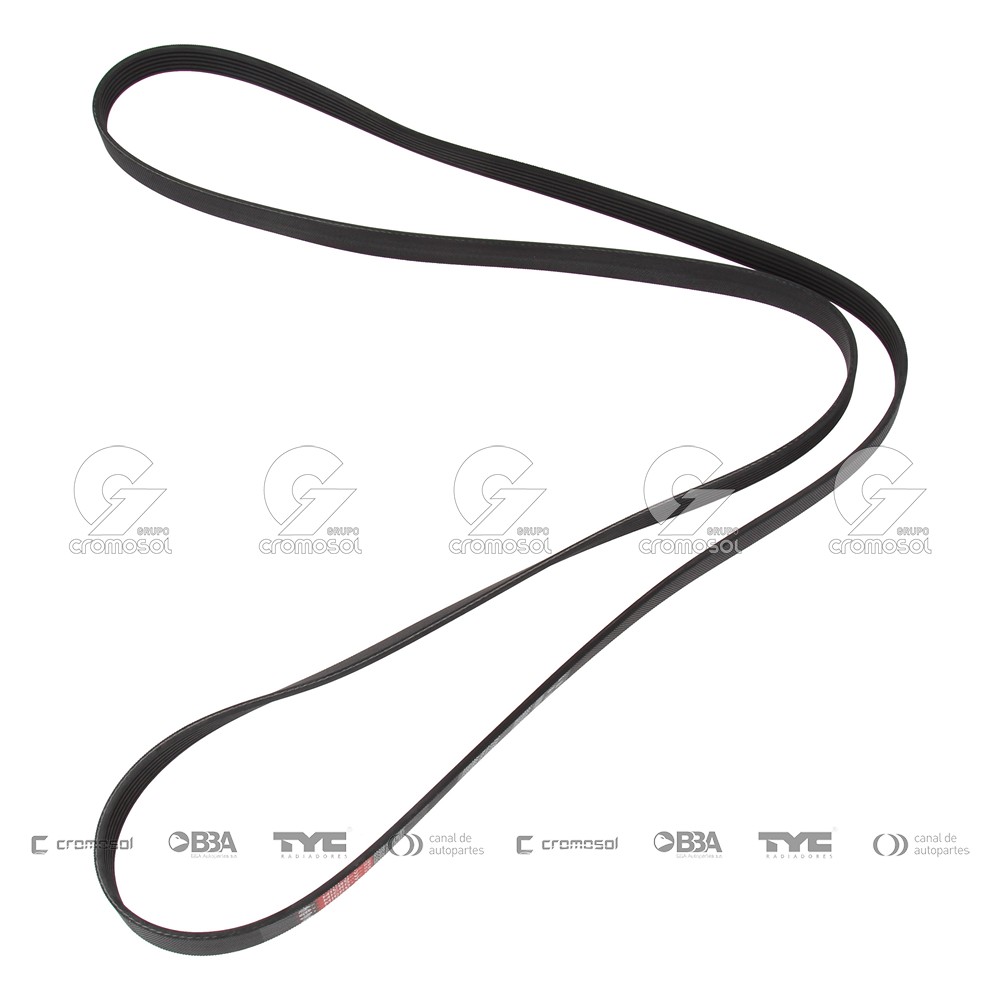 Correa de accesorios para Ford Escort MK6