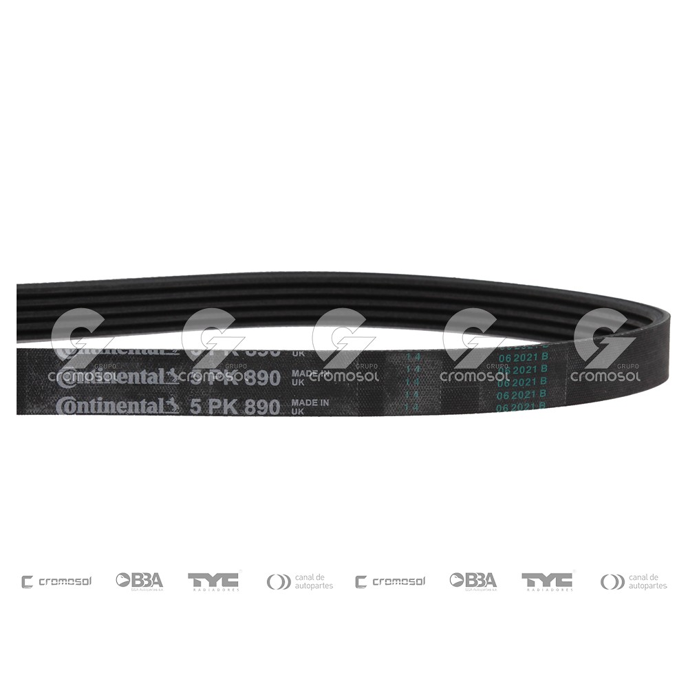 Correa de accesorios para Citroën Berlingo FI 98-10