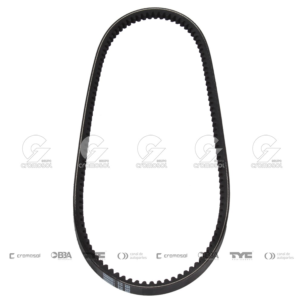 Correa de accesorios para Alfa Romeo 33