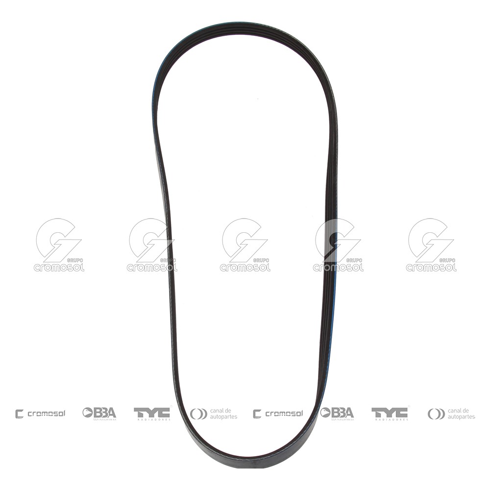 Correa de accesorios para Ford Ranger