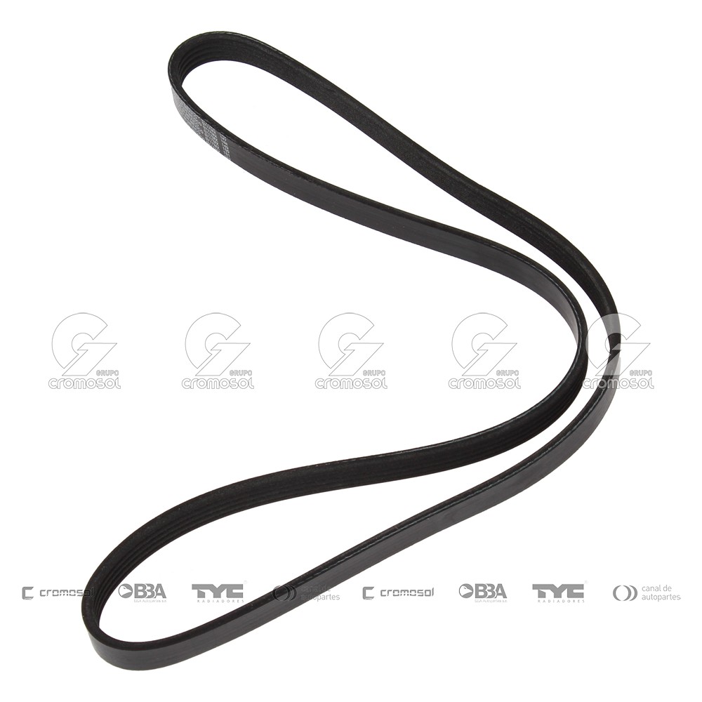 Correa de accesorios para Ford Escort MK6