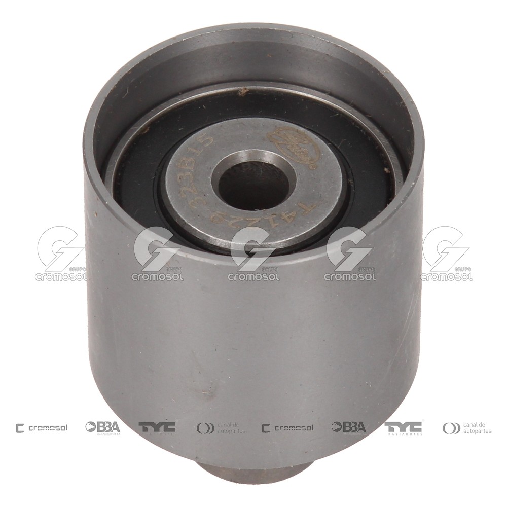 Polea distribucion para Audi A3
