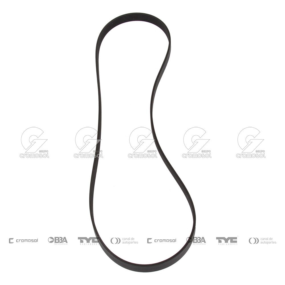 Correa de accesorios para Citroën Xsara FII