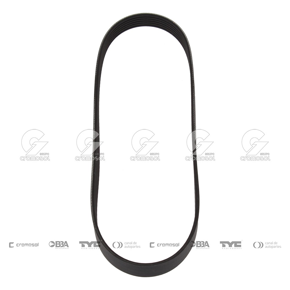 Correa de accesorios para Honda Accord