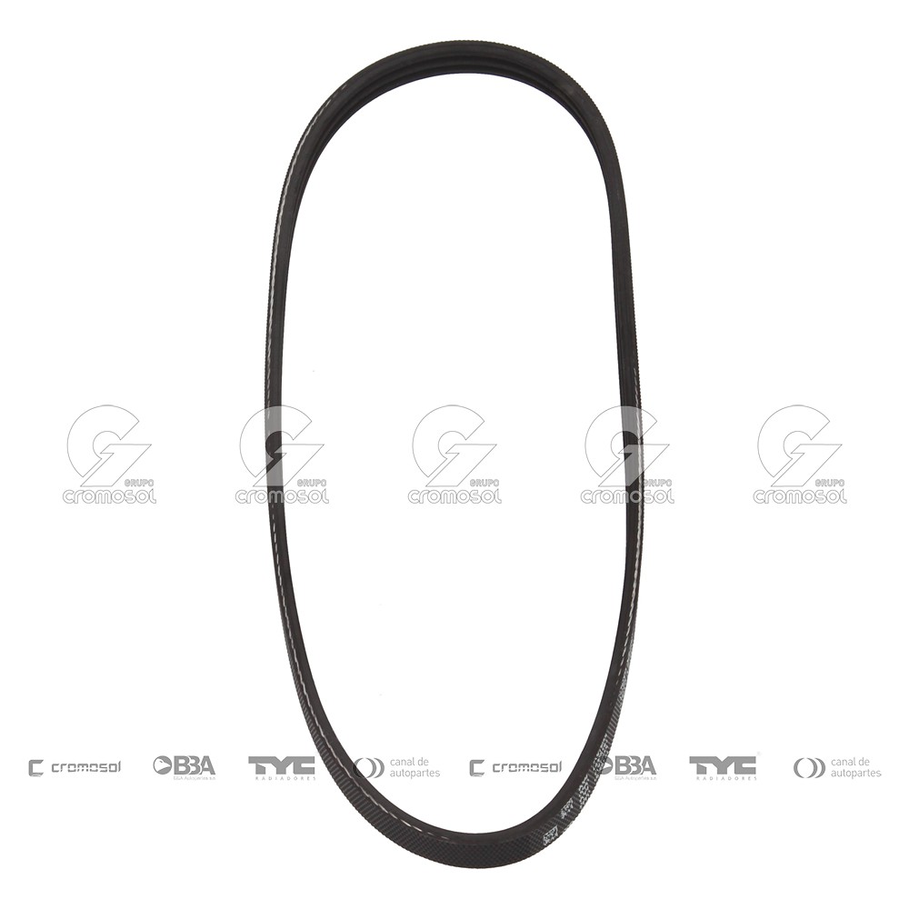 Correa de accesorios para Ford Mondeo MK3-II