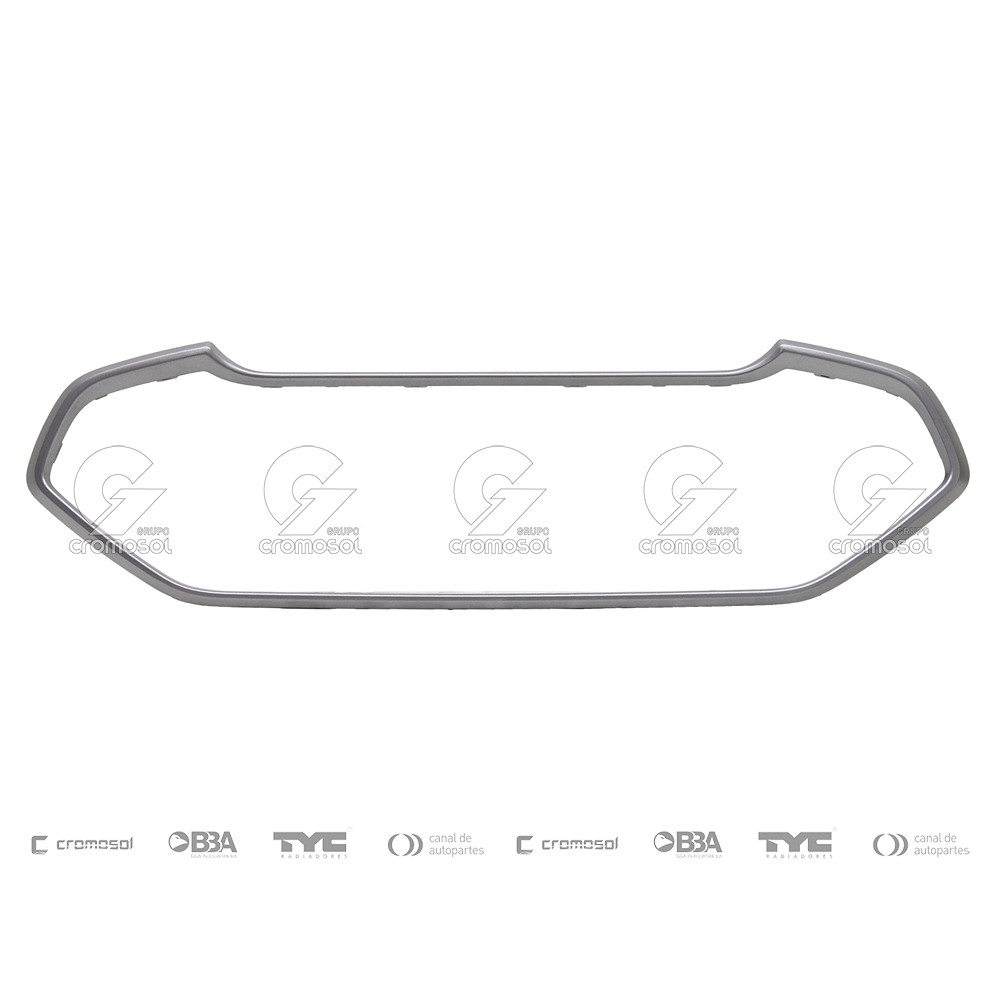 Marco de rejilla para Ford Ecosport IV (KD) 17-22