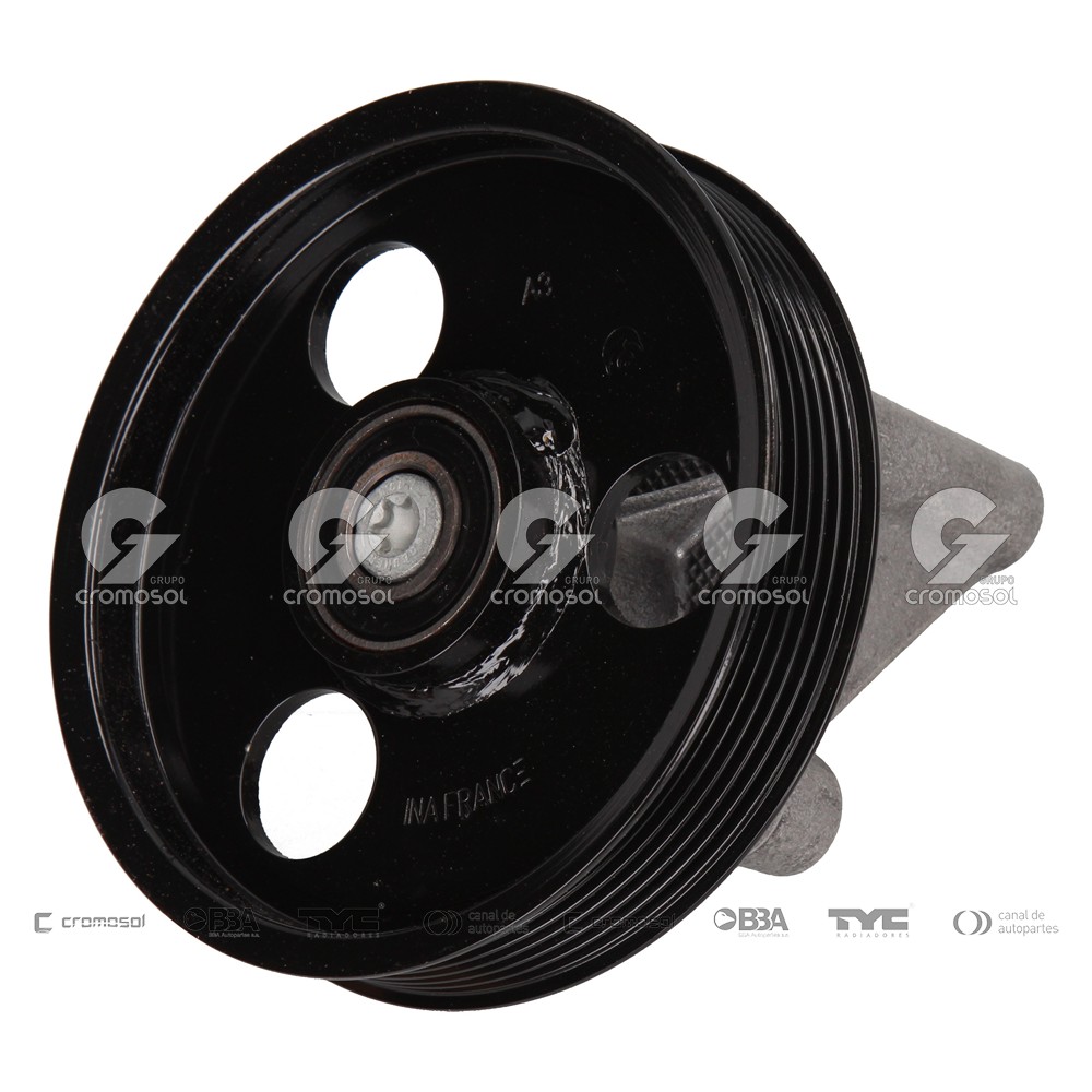 Polea accesorios para Renault Clio III F2 06-12