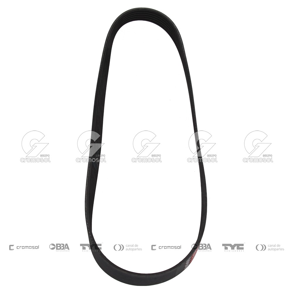 Correa de accesorios para Citroën C5 FIII