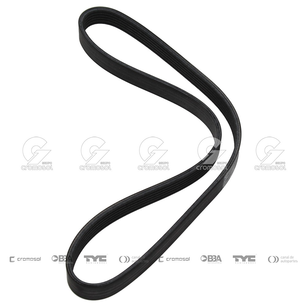 Correa de accesorios para Citroën C5 FIII