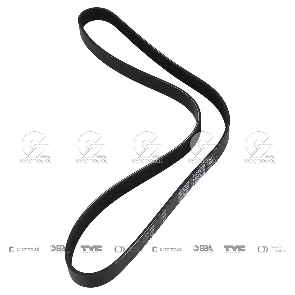 Correa de accesorios para BMW Serie 7 750 (e38) 95-01