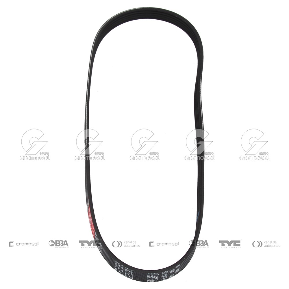 Correa de accesorios para BMW Serie 8 840 (e31) 93-99