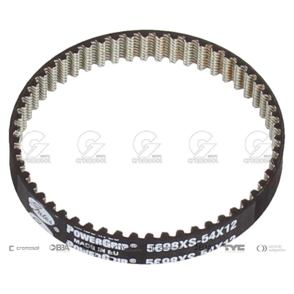 Correa de distribucion para Audi A3 05-08