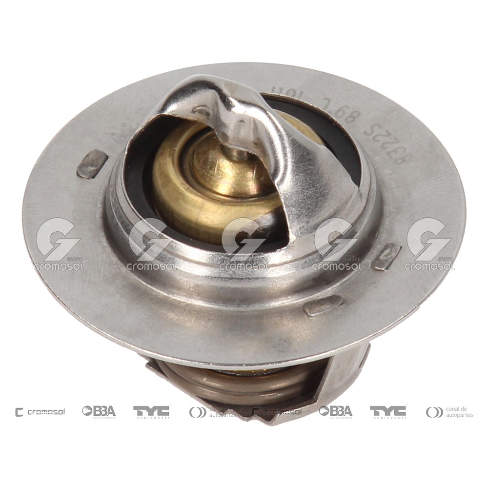 Termostato para Renault Clio II