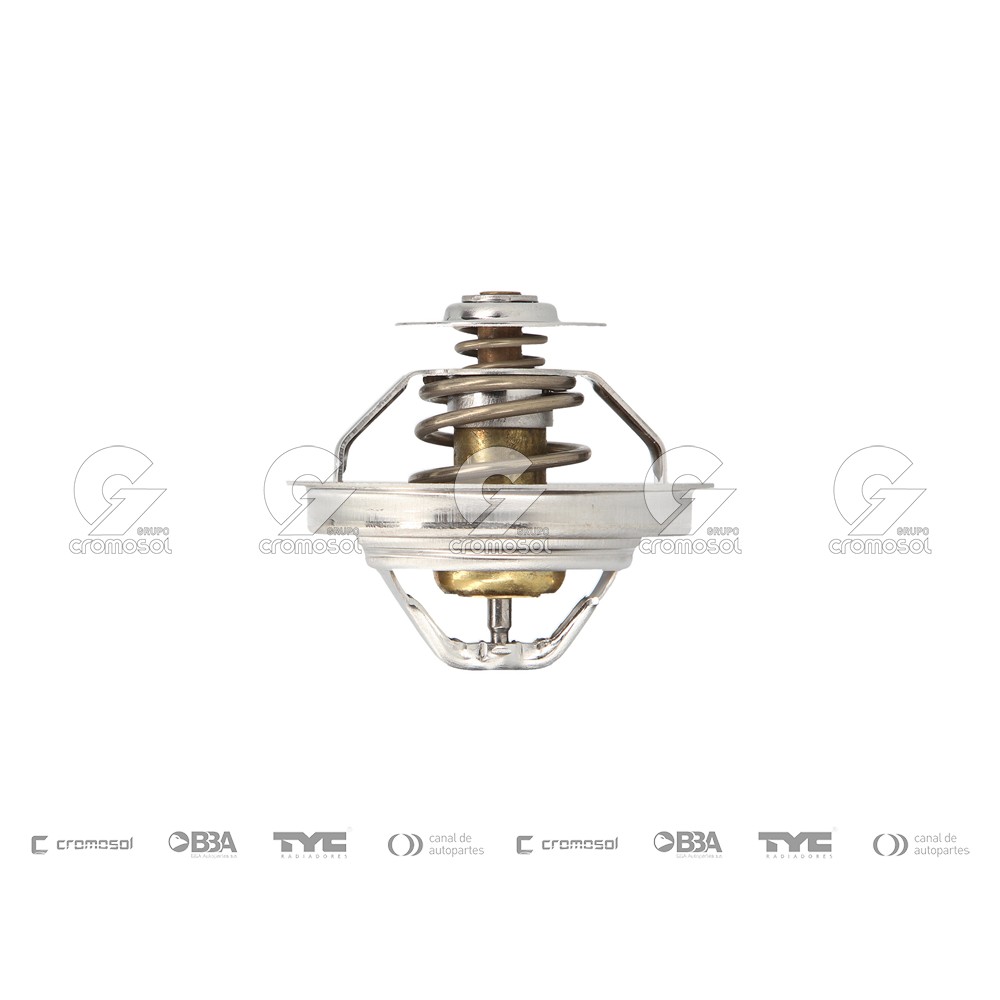 Termostato para BMW Serie 3 328 (E36) 92-98