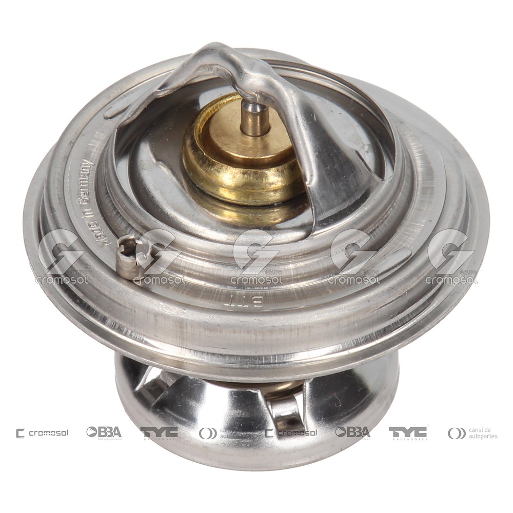 Termostato para Mercedes Benz 190