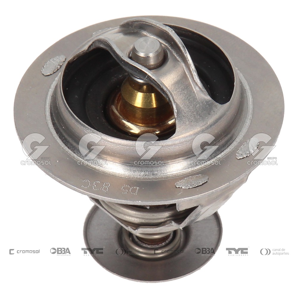 Termostato para Citroën ZX