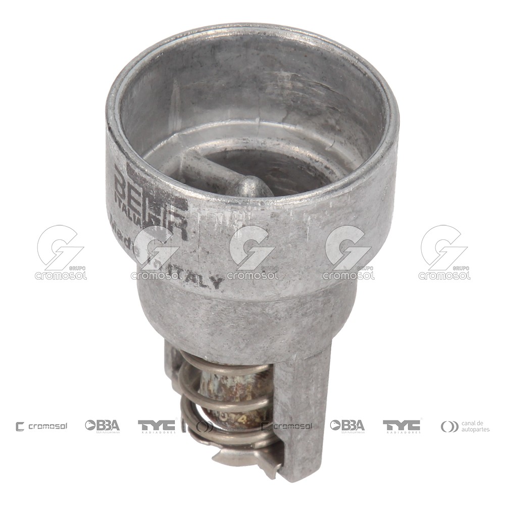 Termostato para Renault 11 F1