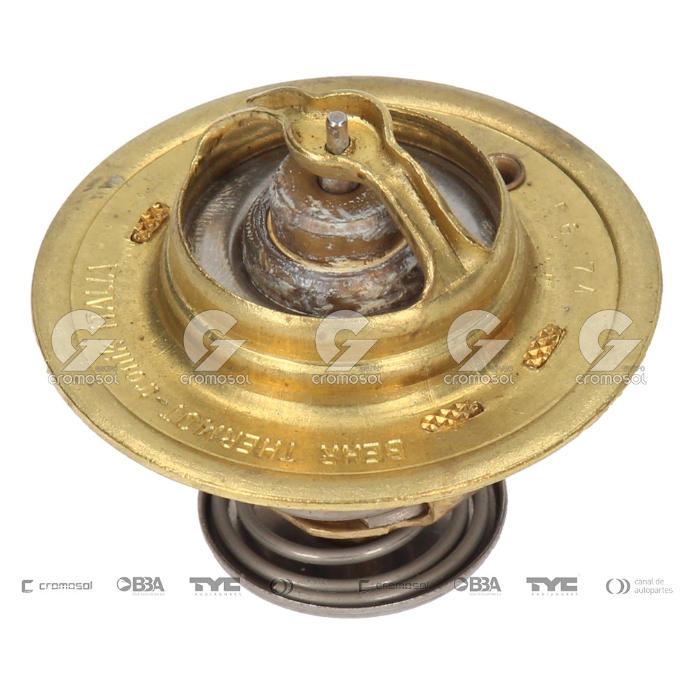 Termostato para Iveco Camión 619