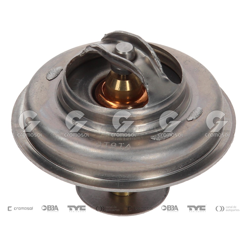 Termostato para Citroën BX