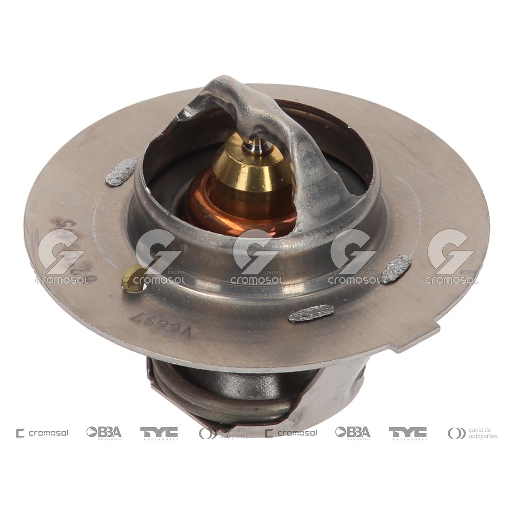 Termostato para Peugeot 504 87-96