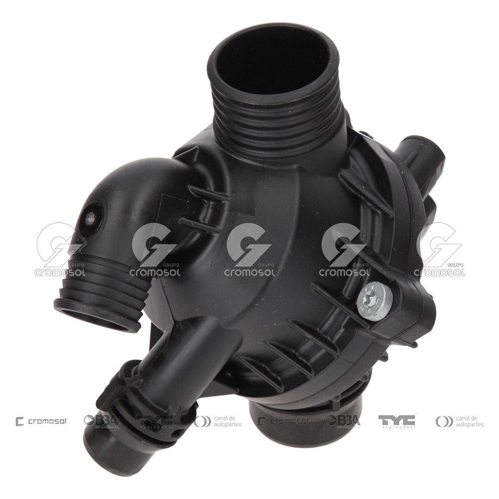 Termostato para BMW X5 (e53)