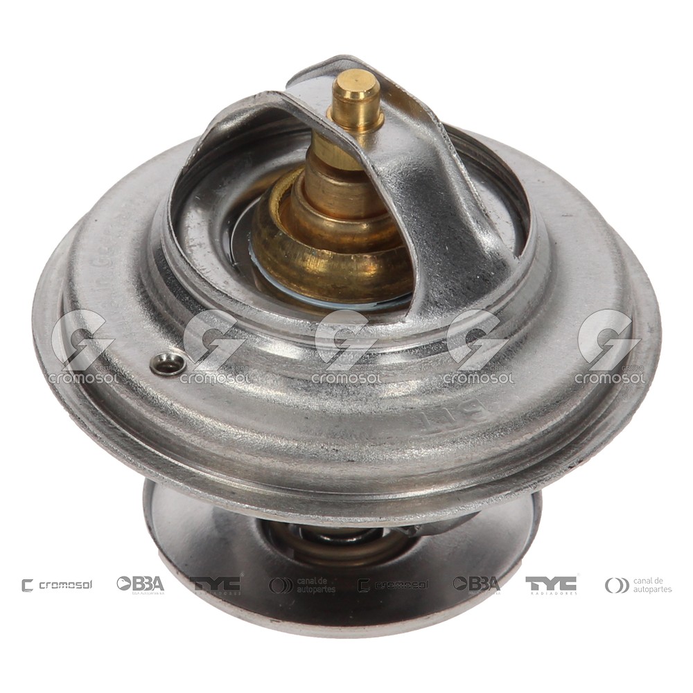 Termostato para Iveco Eurostar