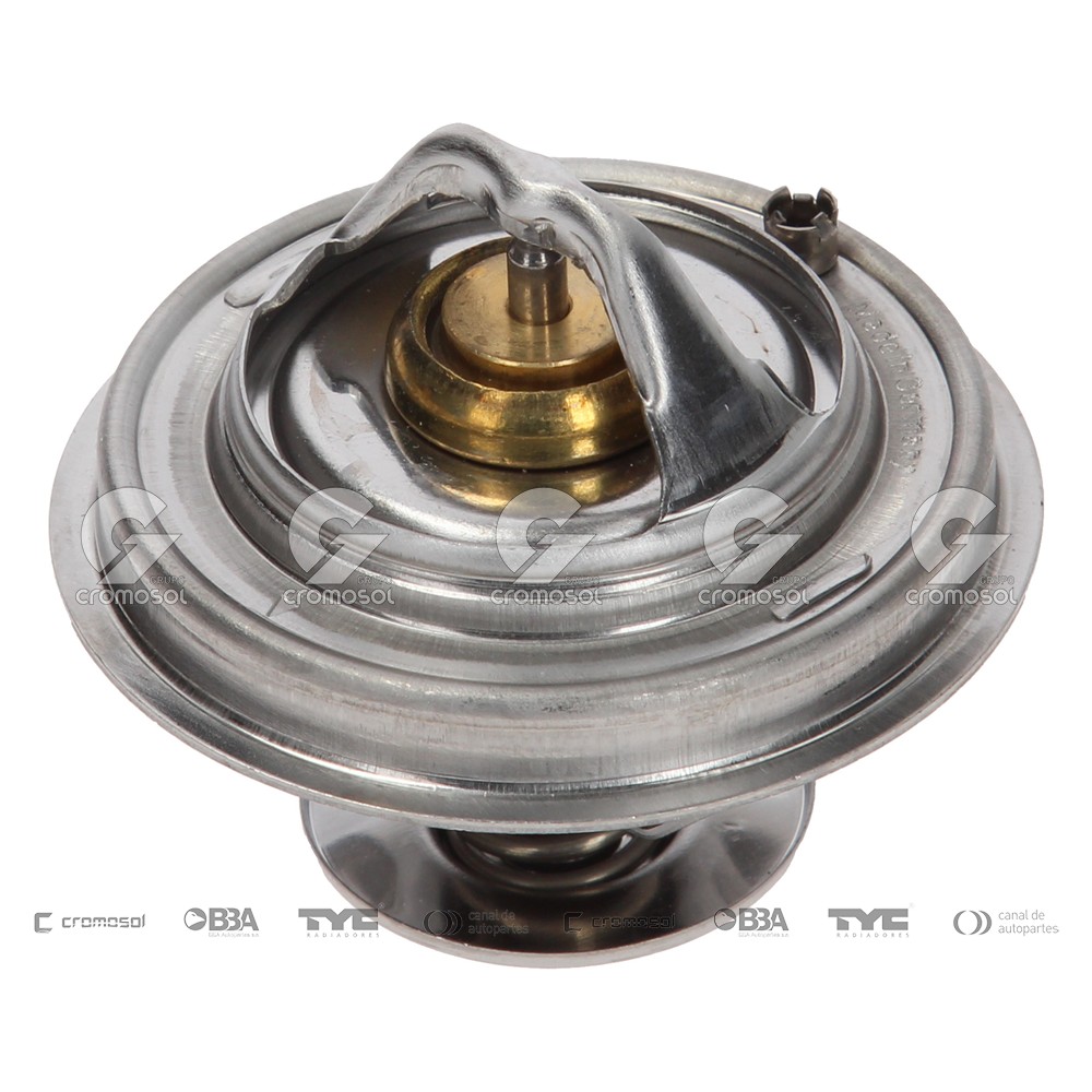 Termostato para Audi 100