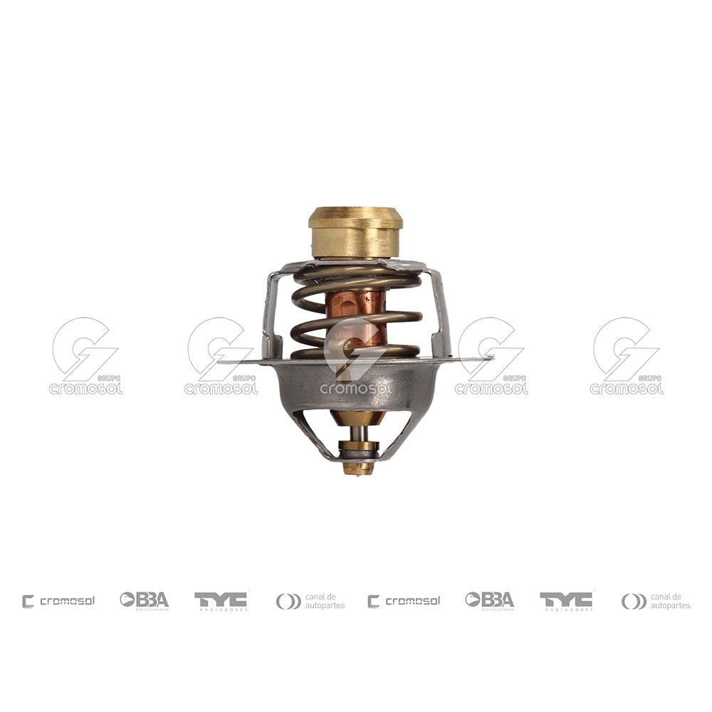 Termostato para Ford Camión Cargo 91-00