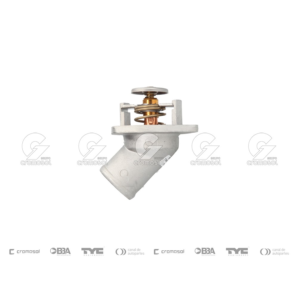 Moldura para Fiat Palio F3-I 07-09