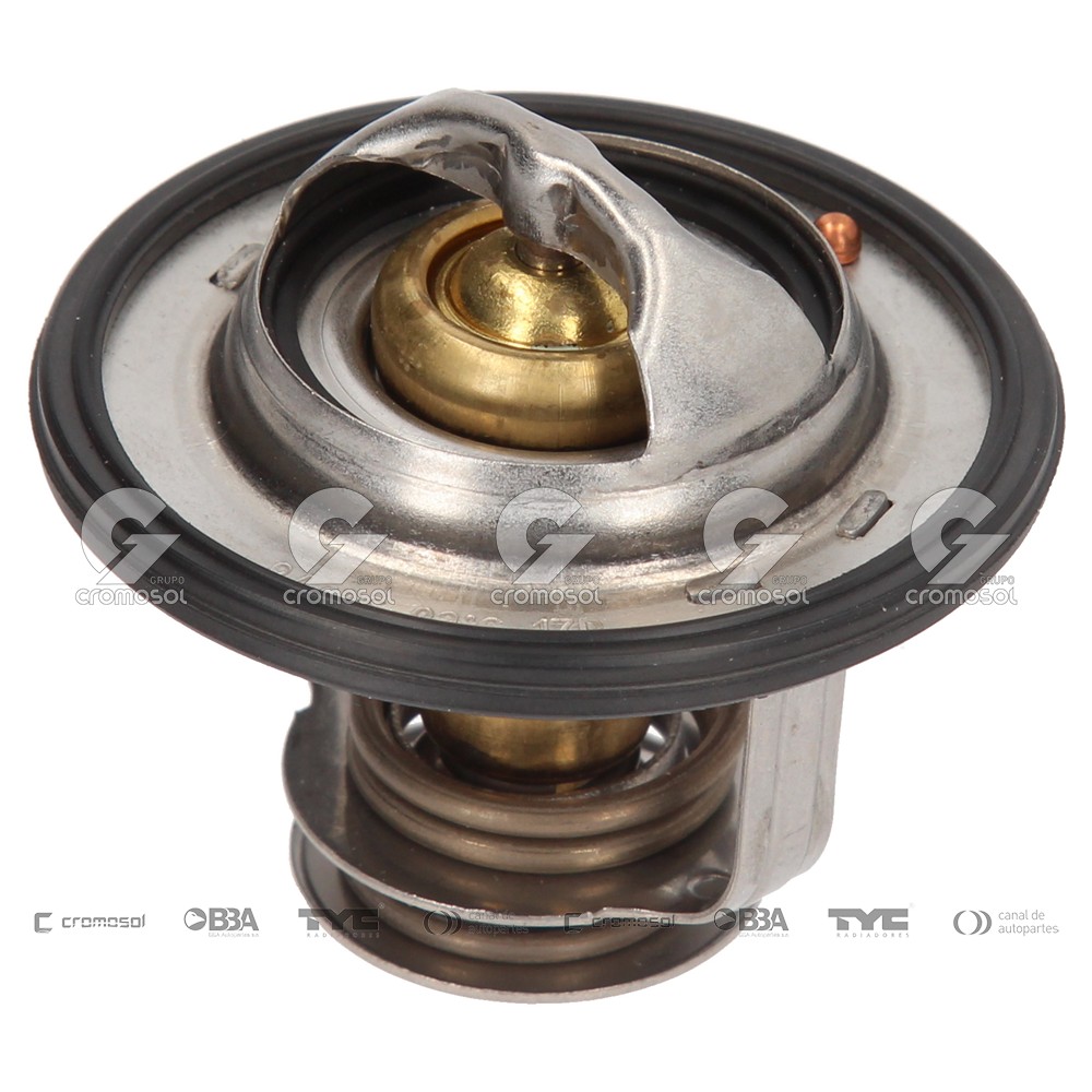 Termostato para Nissan Primera F1