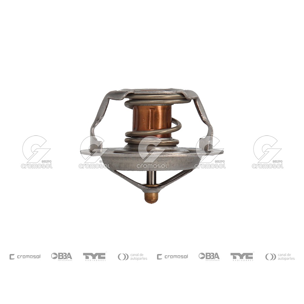 Termostato para Citroën Xsara FII