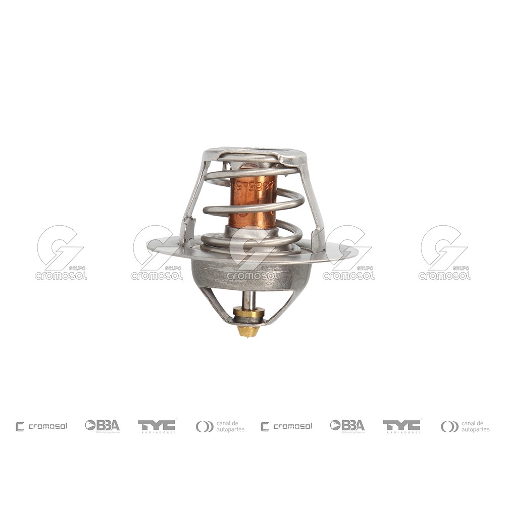 Termostato para Peugeot 205 91-99